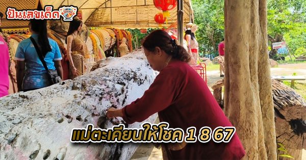 แม่ตะเคียนให้โชค 1 8 67 แนวทางหวยรัฐบาลไทย !! ติดตามเลขเด็ด เเม่นๆ ก่อนใคร ได้ที่นี่ !!! punlekded.com