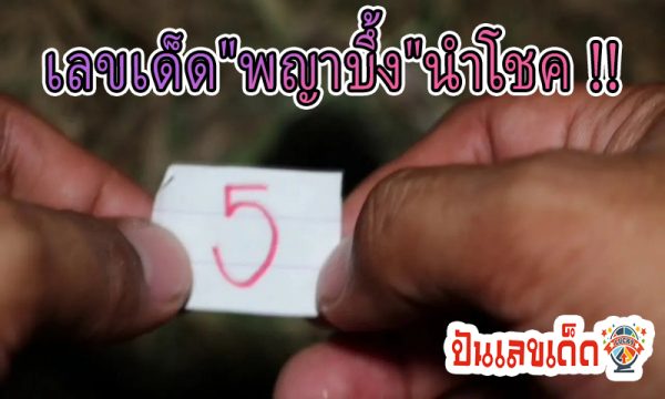 เลขเด็ดเสี่ยงทาย "พญาบึ้งแม่ลูกอ่อน" -"lucky numbers to guess "Phaya Boon, mother of young children"