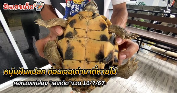 หนุ่มฝันแปลก ก่อนเจอเต่านาที่หายไป คอหวยแห่ส่อง “เลขเด็ด” ทะเบียนบ้าน งวด16/7/67