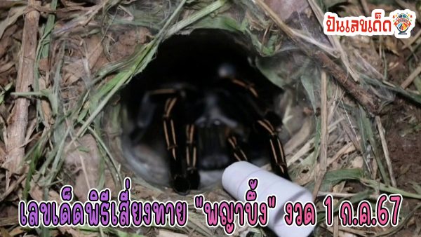 ศรัทธาคอหวย ทำพิธีเสี่ยงทาย “พญาบึ้ง” ได้เลขเด็ดแม่นๆ งวดนี้ ไปลุ้นโชค 1/7/67 คอหวยห้ามพลาด!!