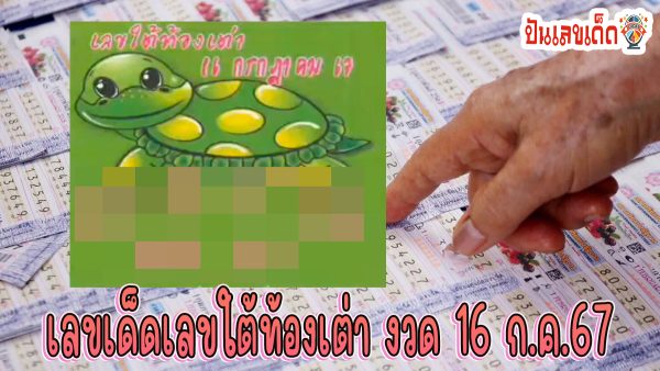 เลขใต้ท้องเต่า 16 7 67 คอหวยห้ามพลาด !!! ส่องเลขเด็ด แนวทางหวยรัฐบาลไทยแม่นๆ