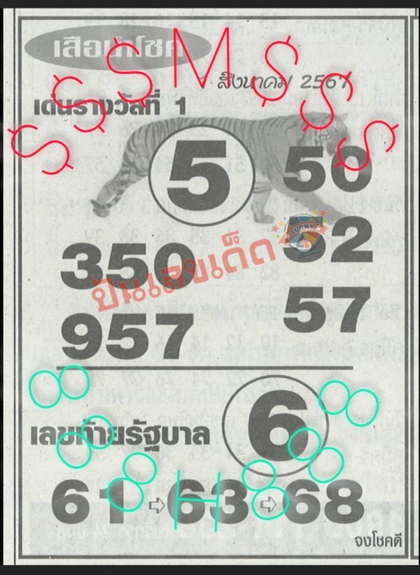 เสือมีโชค 1 8 67-"Tiger Meechok"