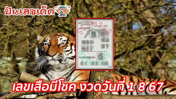 เสือมีโชค 1 8 67 แนวทางหวยรัฐบาลไทย !! ติดตามเลขเด็ด เเม่นๆ ก่อนใคร ได้ที่นี่ !!! punlekded.com