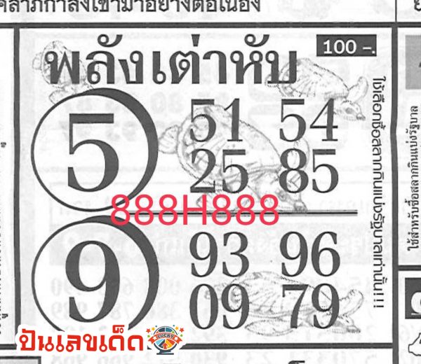 เลขพลังเต่าหับ 16 7 67-"Turtle power number 16 7 67"