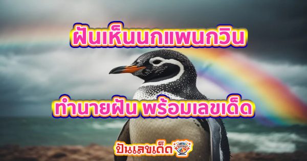 ฝันเห็นนกแพนกวิน ตีความหมาย พร้อมเลขเด็ดจากฝัน แม่นๆ เช็กเลย ที่นี่่!! ปันเลขเด็ด