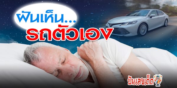 ฝันเห็นรถตัวเอง ทำนายว่าอย่างไร? พร้อมเลขเด็ด แม่นๆ ที่เกี่ยวกับความฝัน เช็กเลย !!