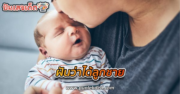 ฝันว่าได้ลูกชาย ทำนายฝันว่าอะไร เลขมงคลโชคลาภ เลขอะไร เช็กเลยที่ punlekded.com