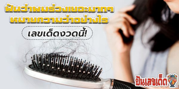 ฝันว่าผมร่วงเยอะมากๆ ทำนายว่าอย่างไร? พร้อมเลขเด็ด แม่นๆ ที่เกี่ยวกับความฝัน เช็กเลย !!