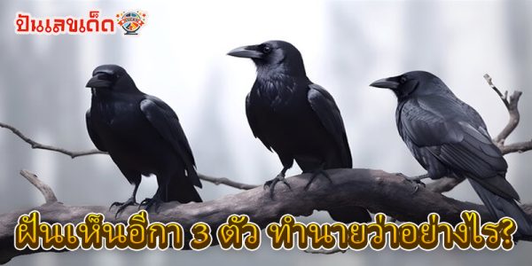 ฝันเห็นอีกา เลขเด็ด -"Dreaming of a crow, lucky numbers"