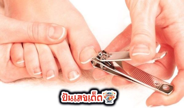 ฝันว่าตัดเล็บมือตัวเอง เลขเด็ด - "Dreaming of cutting your own fingernails - lucky numbers."