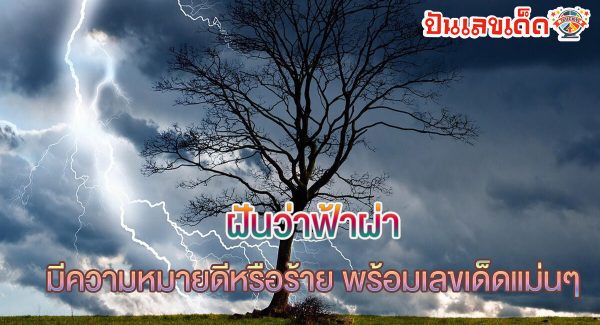 ฝันว่าฟ้าผ่า หมายความว่าอย่างไร พร้อมตีเลขเด็ดจากความฝัน จะมีโชคหรือไม่ เช็กทำนายฝันสุดแม่นได้ที่นี่