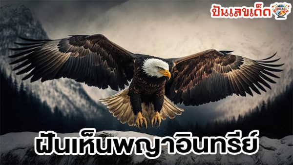 ฝันเห็นพญาอินทรีย์-"Dreaming of seeing an eagle"