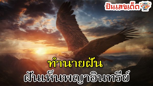 ฝันเห็นพญาอินทรีย์ ทำนายว่าอย่างไร? พร้อมเลขเด็ด แม่นๆ ที่เกี่ยวกับความฝัน เช็กเลย !!