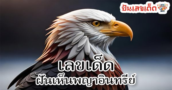 ฝันเห็นเหยี่ยวตัวใหญ่-"I dreamed of seeing a big hawk."