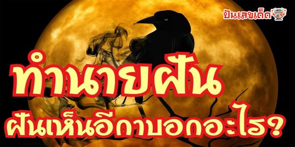 ฝันเห็นอีกา3ตัว ทำนายว่าอย่างไร? พร้อมเลขเด็ด แม่นๆ ที่เกี่ยวกับความฝัน เช็กเลย !