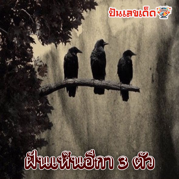 ฝันเห็นอีกา3ตัว-"I dreamed of seeing three crows."