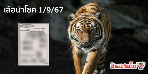 เสือนำโชค 1 9 67 คอหวยห้ามพลาดส่องเลขเด็ด! แม่นๆ แนวทางหวยรัฐบาลไทย งวดนี้