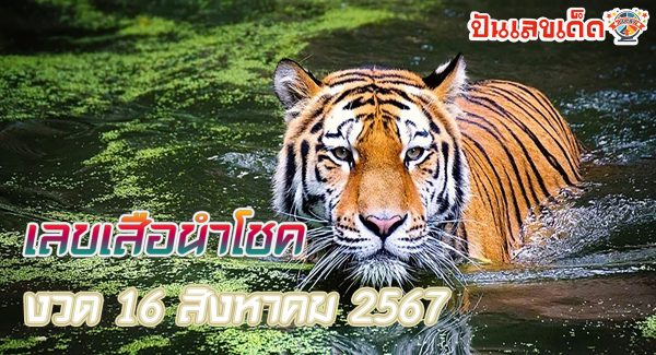 เลขเสือนำโชค 16 8 67 แนวทางหวยรัฐบาลไทย !! ติดตามเลขเด็ด เเม่นๆ ก่อนใคร ได้ที่นี่ punlekded.com