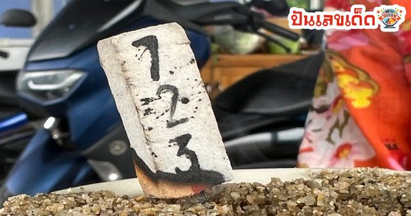 จิ้งจกสีแดงให้โชค-"Red lizard brings luck"