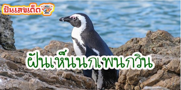 ฝันเห็นนกหมายถึงอะไร -"What does it mean to dream of seeing birds"