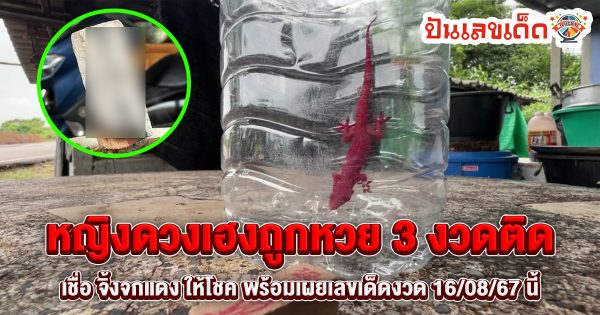 หญิงดวงเฮงถูกหวย 3 งวดติด เชื่อ จิ้งจกแดง ให้โชค พร้อมเผยเลขเด็ดงวด 16/08/67 นี้
