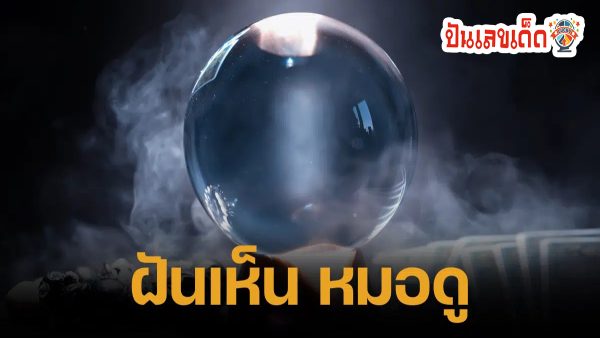 ฝันเห็นหมอดู ทำนายว่าอย่างไร? พร้อมเลขเด็ด แม่นๆ ที่เกี่ยวกับความฝัน เช็กเลย !