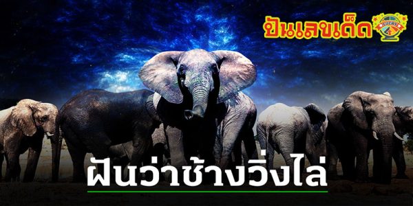 ฝันว่าวิ่งหนีช้าง-"Dreaming of running away from an elephant"