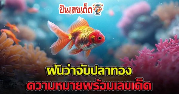 ฝันว่าจับปลาทอง ทำนายว่าอย่างไร? พร้อมเลขเด็ด แม่นๆ ที่เกี่ยวกับความฝัน เช็กเลย !