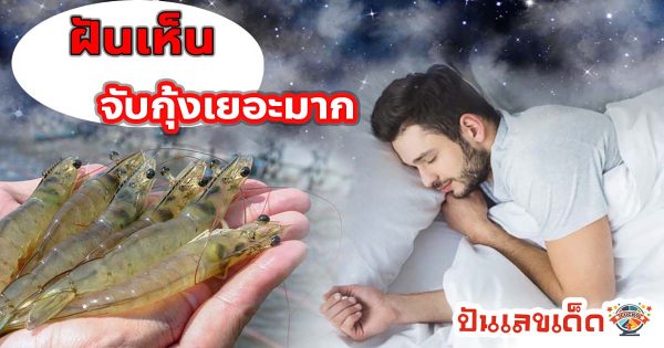 ฝันเห็นจับกุ้งเยอะมาก หมายความว่าอย่างไร พร้อมเลขเด็ด แม่นๆ ที่เกี่ยวกับความฝัน เช็กเลย!