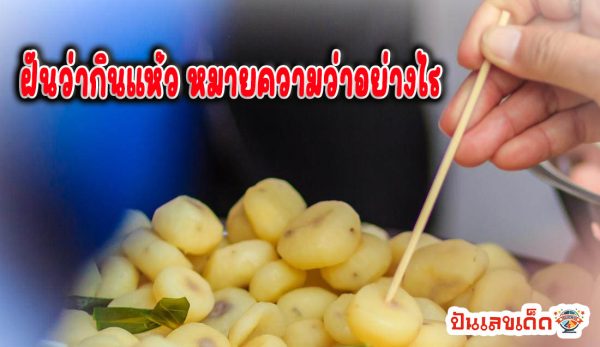 ฝันว่ากินแห้ว-''Dreamed of eating water chestnuts''