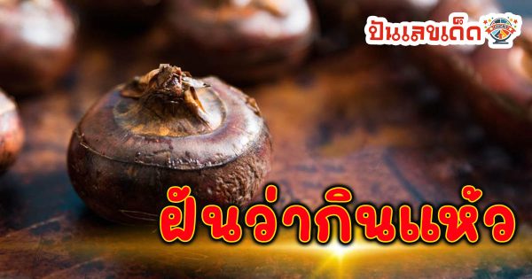 ฝันว่ากินแห้ว หมายความว่าอย่างไร พร้อมเลขเด็ด แม่นๆ ที่เกี่ยวกับความฝัน เช็กเลย!