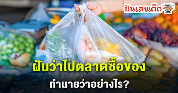 ฝันว่าไปตลาดซื้อของ ทำนายว่าอย่างไร? พร้อมเลขเด็ด แม่นๆ ที่เกี่ยวกับความฝัน เช็กเลย !