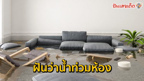 ฝันว่าน้ำท่วมห้อง-"Dreamed that the room flooded"