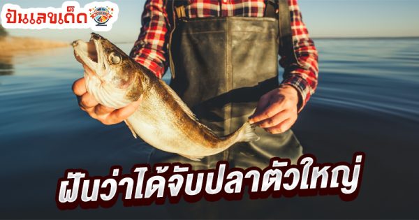 ฝันว่าได้จับปลาตัวใหญ่-"Dreaming of catching a big fish"