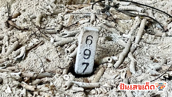 วิธีอาบน้ำจระเข้ วัด ลำ บัวลอย - "How to bathe a crocodile at Wat Lam Bua Loi"