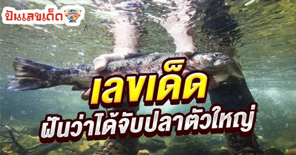 ฝันว่าจับปลาตัวใหญ่ 1 ตัว-"I dreamt that I caught a big fish."
