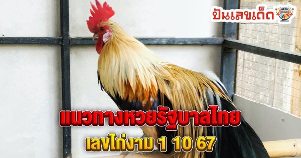 เลขไก่งาม 1 10 67 แนวทางหวยรัฐบาลไทย !! ติดตามเลขเด็ด เเม่นๆ ก่อนใคร ได้ที่นี่ punlekded.com
