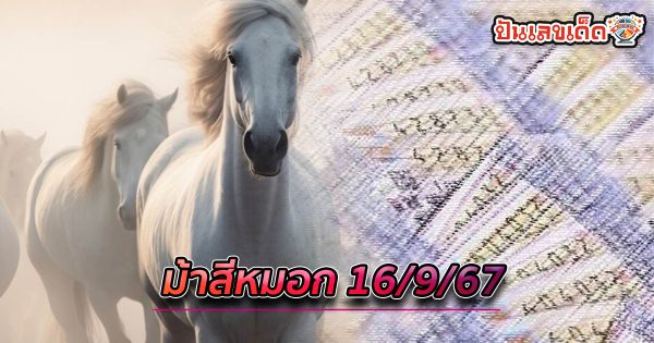 ม้าสีหมอก 16 9 67 แนวทางหวยรัฐบาลไทย !! ติดตามเลขเด็ด เเม่นๆ ก่อนใคร ได้ที่นี่ punlekded.com