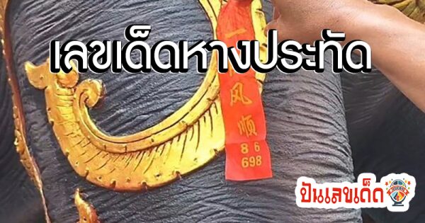 เลขเด็ดหางประทัด -"Lucky numbers from firecracker tails"