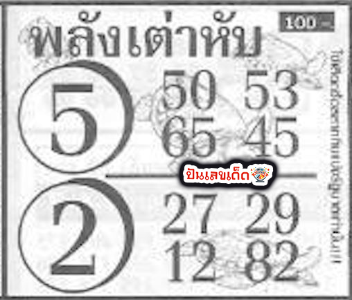 พลังเต่าหับ 16 9 67 - "Turtle power 16 9 67"