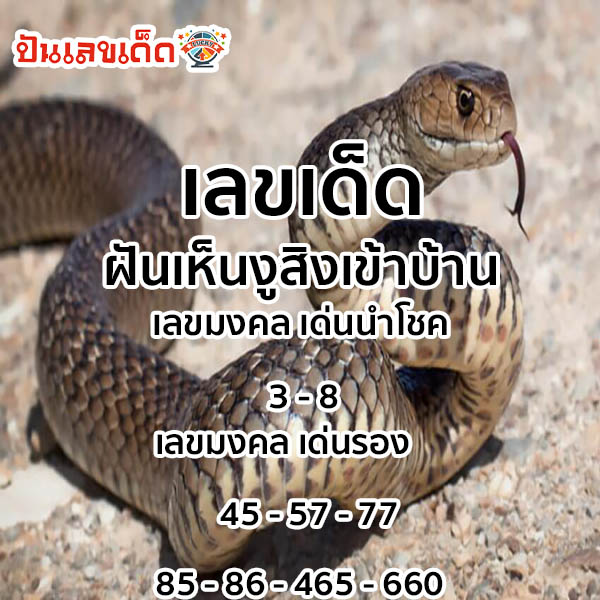 งูเข้าบ้าน โบราณว่า เลขเด็ด-"A-snake-enters-the-house.-In-ancient-times-it-was-said-to-be-a-lucky-number"