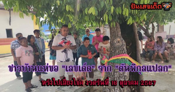 มาตามความเชื่อ ชาวบ้านแห่ขอ “เลขเด็ด” จาก “ต้นพิกุลแปลก” หวังไปเสี่ยงโชค งวดวันที่ 16 ตุลาคม 2567