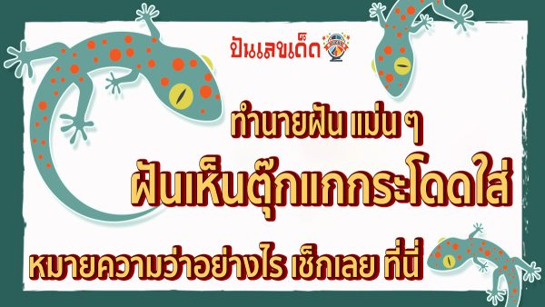 ฝันเห็นตุ๊กแกกระโดดใส่  ทำนายว่าอย่างไร? พร้อมเลขเด็ด แม่นๆ ที่เกี่ยวกับความฝัน เช็กเลยที่ punlekded.com !!