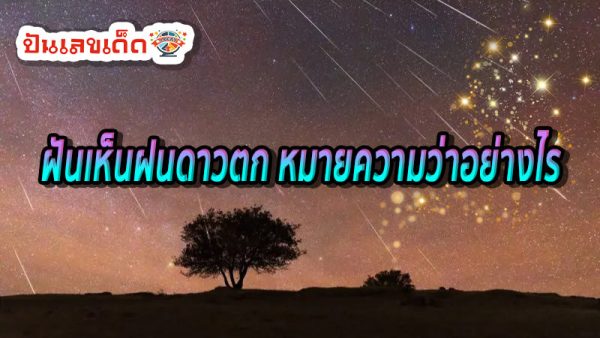 ฝันเห็นฝนดาวตก-''Dream of seeing a meteor shower''