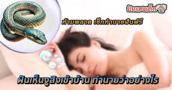ห้ามพลาด ฝันเห็นงูสิงเข้าบ้าน ฝันเห็นงู ฝันเกี่ยวกับงู มีคำทำนายฝันว่าอะไร พร้อมเลขให้โชค เช็กเลย ฟรี !!