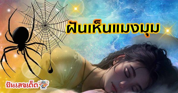 คำทำนายฝันเห็นแมงมุม ฝันเห็นแมงมุมกระโดดใส่ ฝันเห็นแมงมุมเยอะมาก ทำนายว่าอย่างไร? พร้อมเลขเด็ดแม่นๆ แจกฟรี ไม่เสียเงิน เช็คได้ที่นี่!