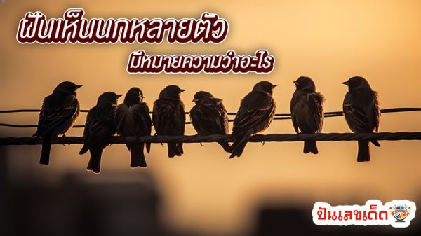 ฝันเห็นนกหลายตัว-"Dream of seeing many birds"