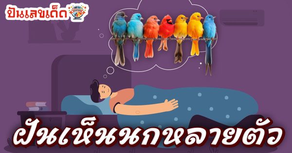 เปิดคำทำนาย ฝันเห็นนกหลายตัว มีหมายความว่าอะไร พร้อมเลขเด็ดแม่นๆ ให้โชค ที่เหลือเชื่อ เช็กเลย ฟรี !!
