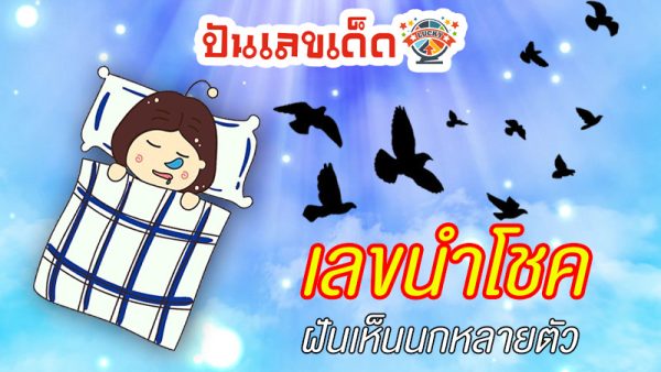 ฝันเห็นฝูงนกเยอะมาก-"Dreamed of seeing a lot of birds."