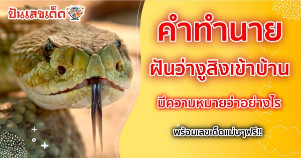 เปิดคำทำนาย ฝันว่างูสิงเข้าบ้าน มีคำทำนายฝันว่าอะไร พร้อมเลขเด็ดแม่นๆ ให้โชค เช็กเลย ฟรี !!